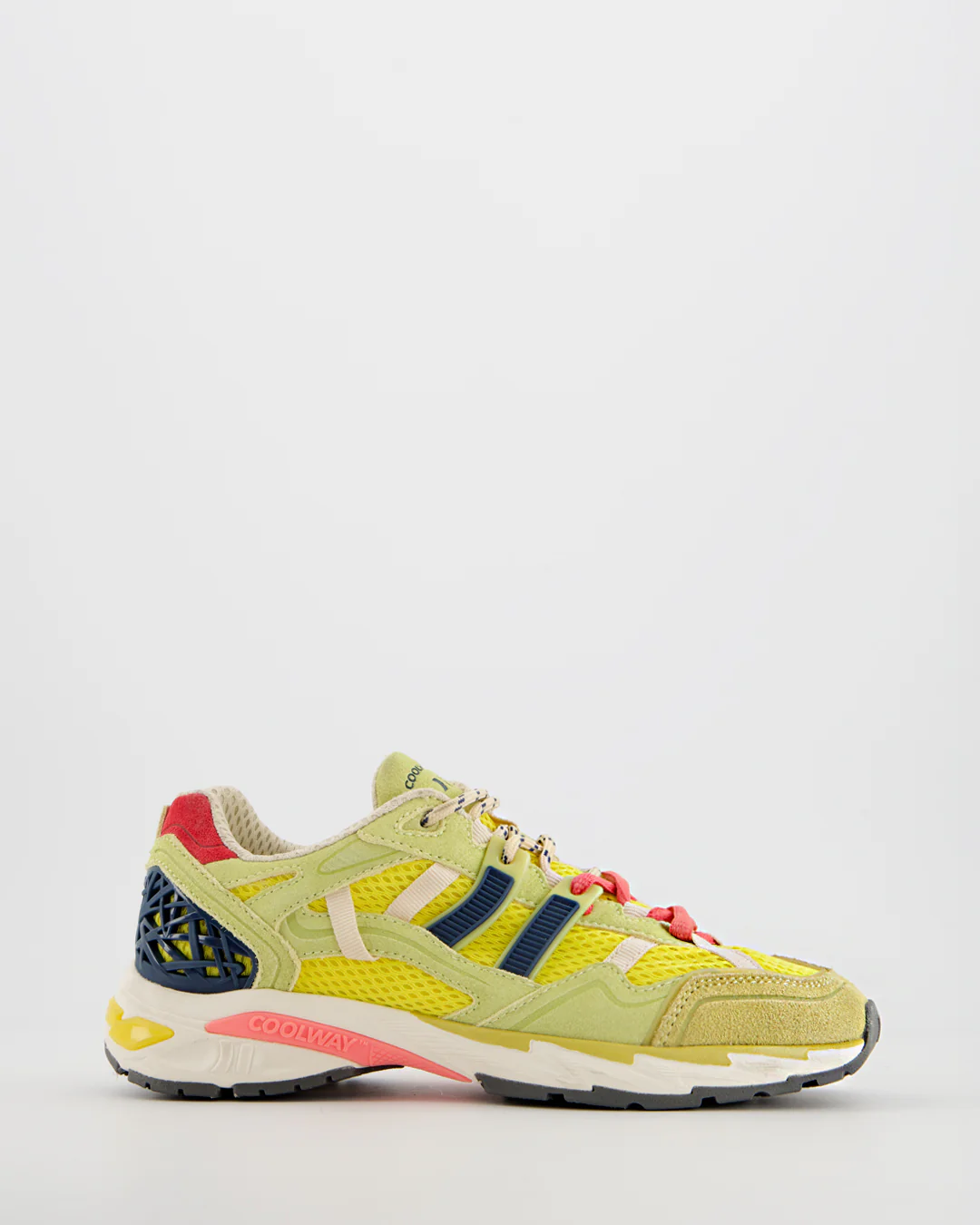 Summer Colorways Women